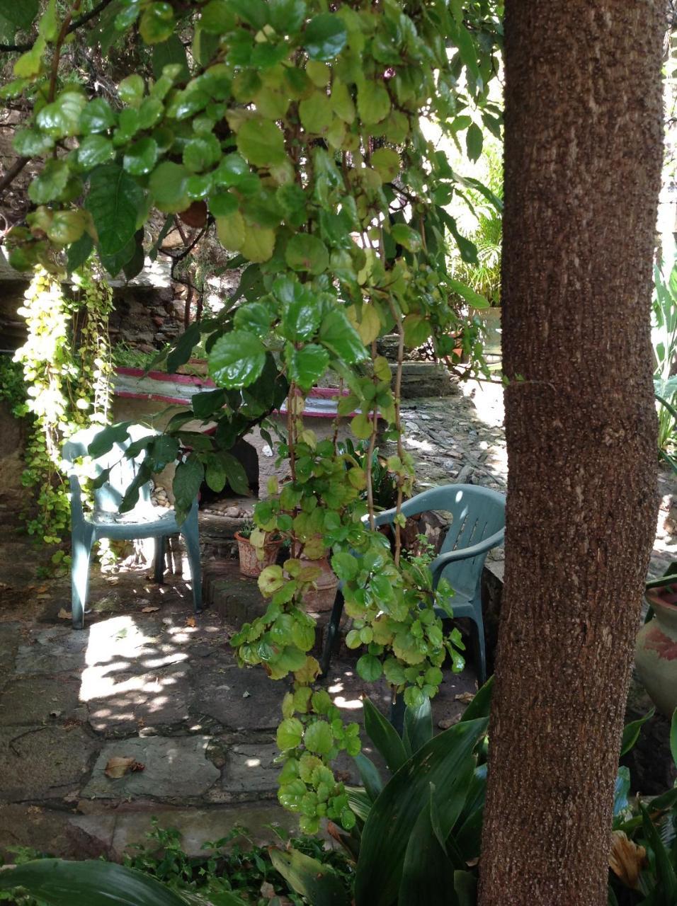 Casa Ex Hacienda Habitación en casa particular *